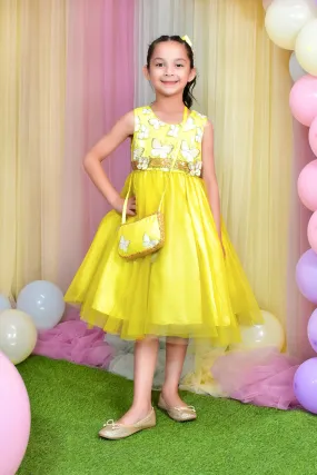 Butterfly Glitter Net Frock | BIRHTDAY BASH | F2313