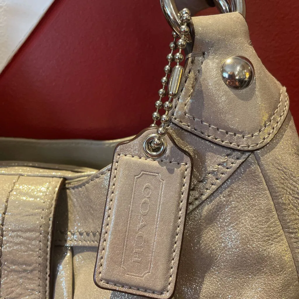 Coach Lynn Soho Metallic Silver Hobo Shoulder Bag